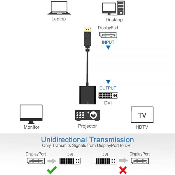 FS12102 Adaptateur DisplayPort vers DVI femelle