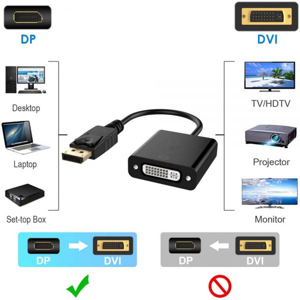 FS12102 Adaptateur DisplayPort vers DVI femelle