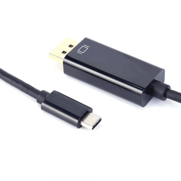 Male to Male DisplayPort Adapter to USB C Cable - Image 3