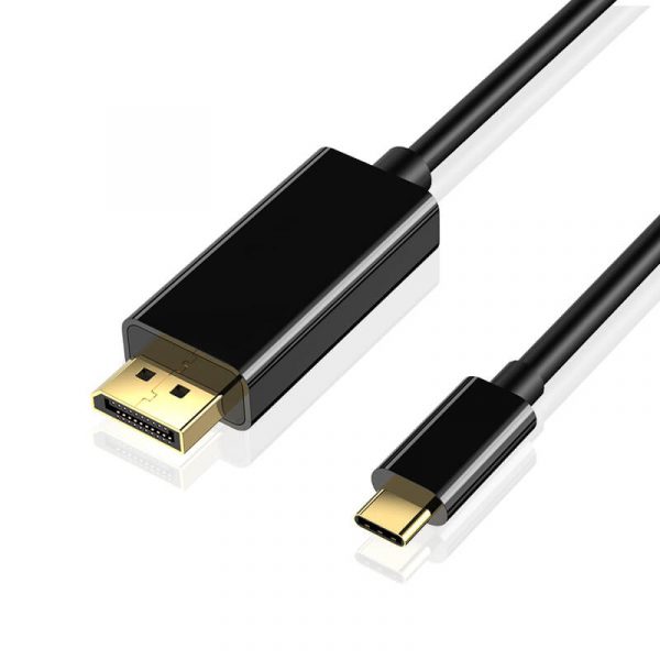 Male to Male DisplayPort Adapter to USB C Cable - Image 4