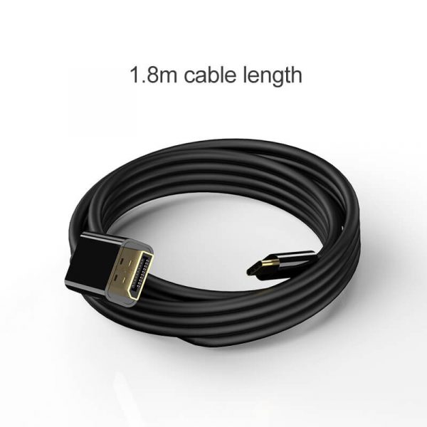 Male to Male DisplayPort Adapter to USB C Cable - Image 6