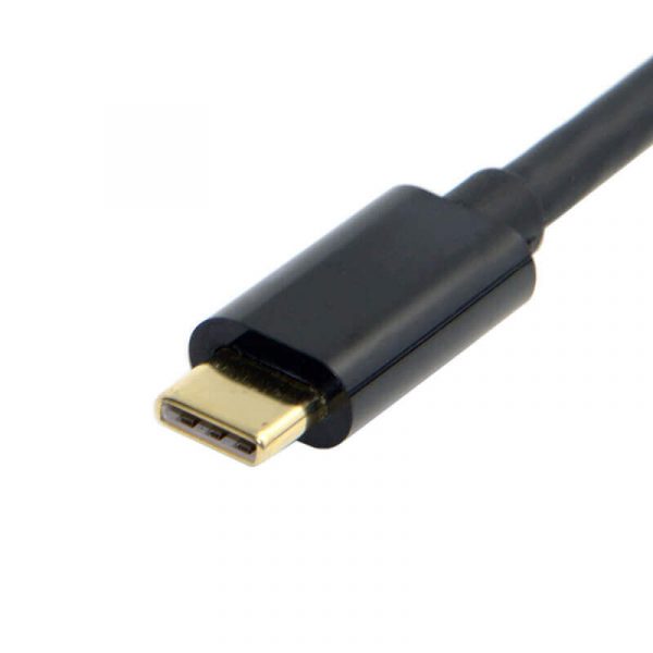 Male to Male Mini DP to USB C Adapter Cable - Image 3