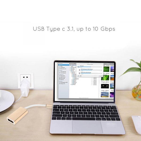 USB-C Male to DisplayPort Female 8K Adapter - Image 8