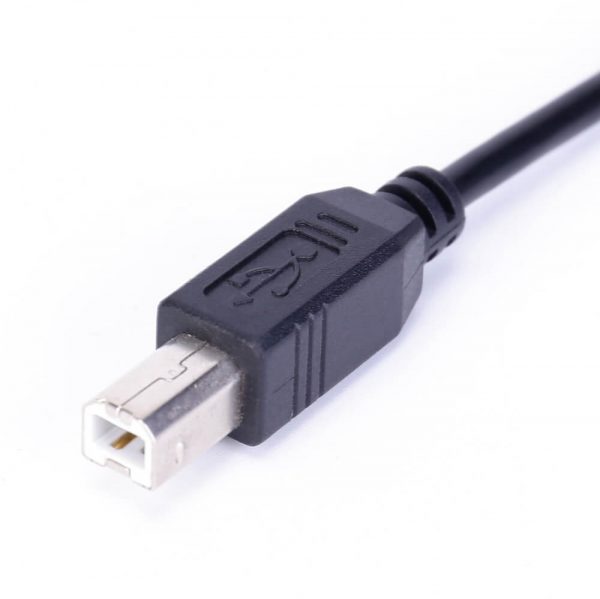 Male to Male USB C to USB-B Cable - Imagen 4