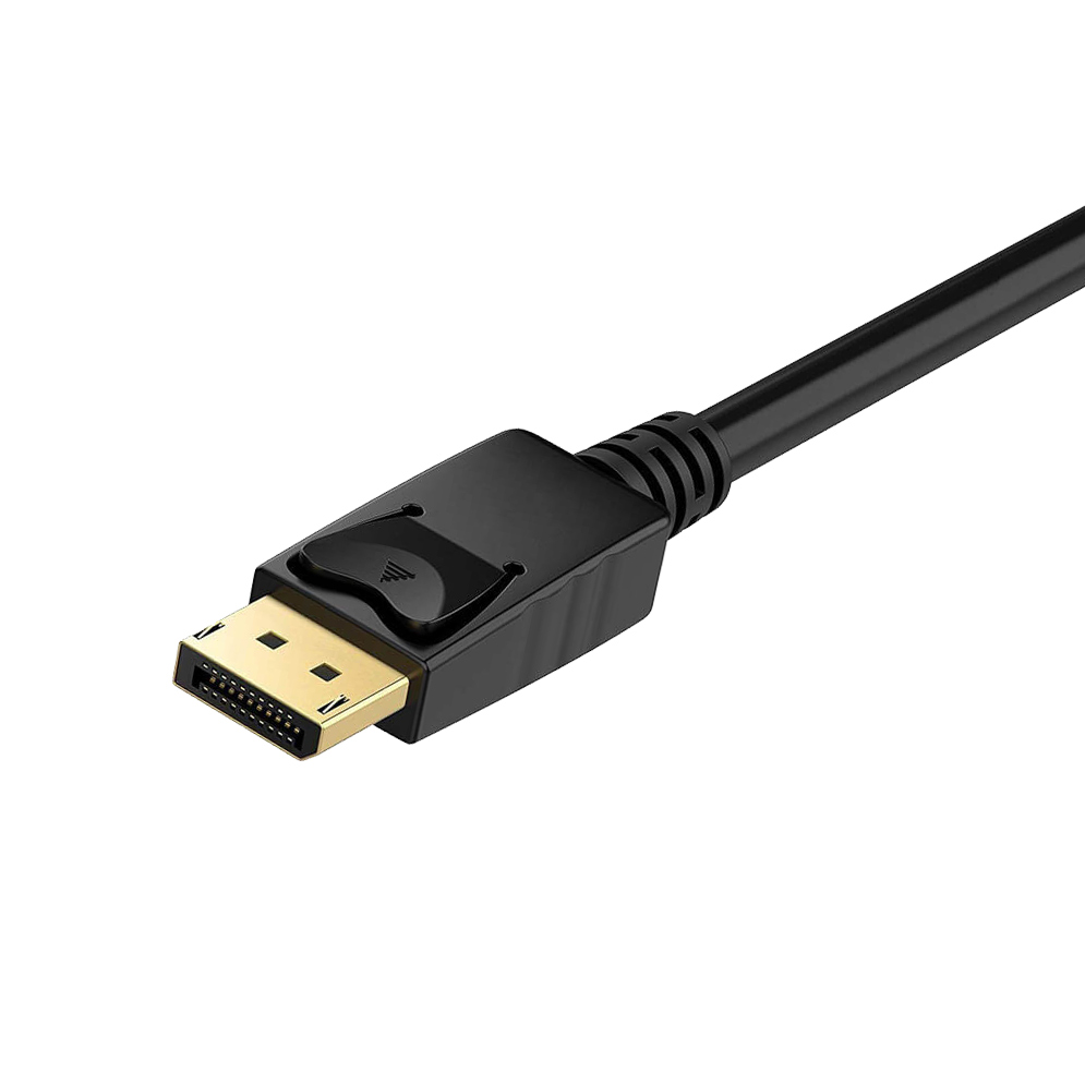 DisplayPort